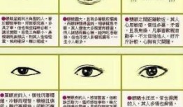 眼睛形状面相 面相中各种眼睛形状代表什么