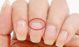 指甲上的“月牙”代表着什么？