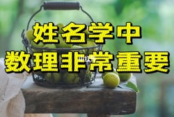 起名字哪个网站好-网上起名字哪个网站好