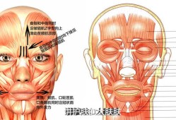 总是习惯性皱眉，额头中间有个竖纹，怎么办呀？