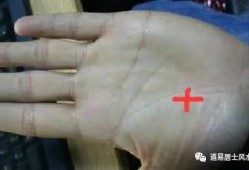 手相的生命线、感情线上有“十字纹”代表什么