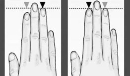 为什么我的左手无名指比食指短，而右手的无名指比食指长？