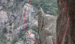 「黄山」镜头里的黄山美景：妙趣横生的奇峰怪石
