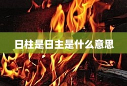 日柱是日主是什么意思