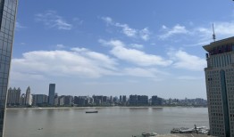 武汉“最大烂尾楼群”遭流拍 停工13年命运多舛