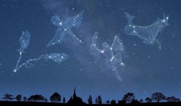在一年四季，星空中都有能看到什么星座？