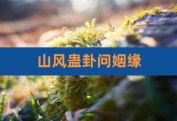 求解卦《易经》第十八卦 蛊 山风蛊 艮上巽下 问爱情