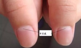 指甲上的各种月牙都代表着什么？一旦发现这种情况就要注意了！