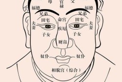 最完整的面相学三庭十二宫