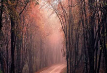 <strong>易经</strong>与姓名：看伟人是怎么运用<strong>易经</strong>来起名的