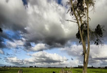 《<strong>易经</strong>》：人生所有的幸运 都来源于厚积薄发