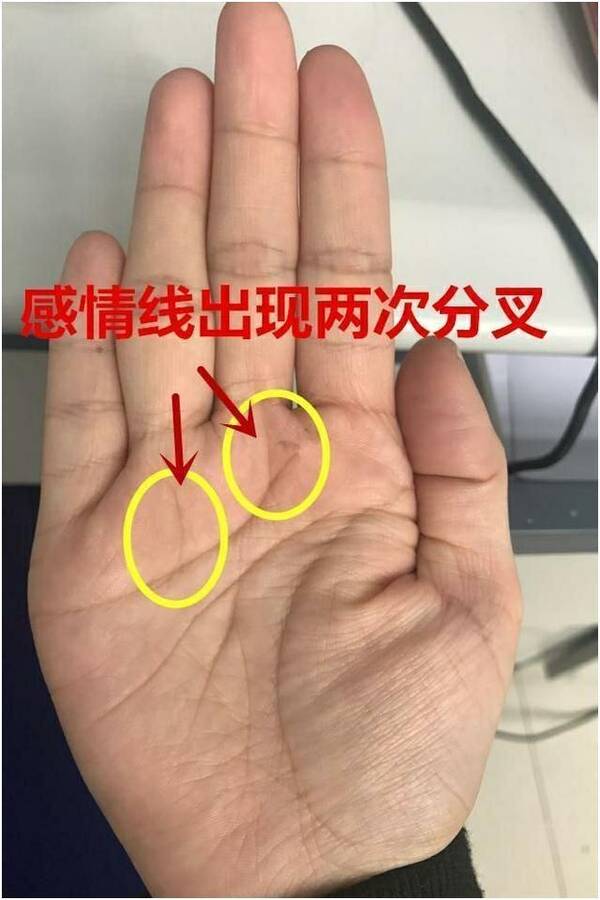 手相事业线_手相事业线和成功线和_女人手相事业线