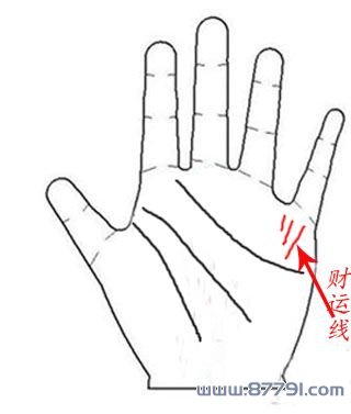 <strong>财运</strong>线是什么 <strong>财运</strong>线怎么看