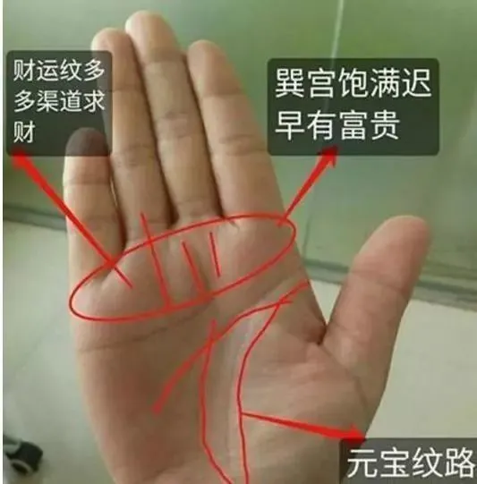 <strong>财运</strong>线是什么 <strong>财运</strong>线怎么看