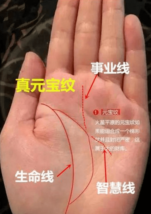 <strong>财运</strong>线是什么 <strong>财运</strong>线怎么看