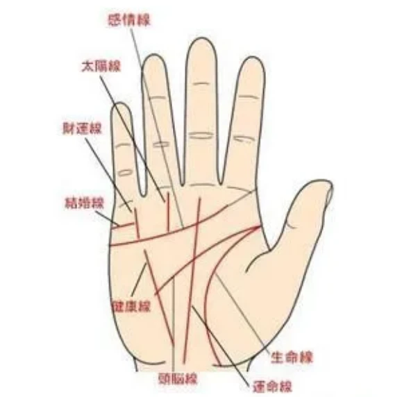 最具富贵命的<strong>手相</strong>