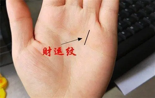 最具富贵命的<strong>手相</strong>