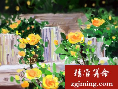 偏财伤官格的命数分析 <strong>财运</strong>袭来