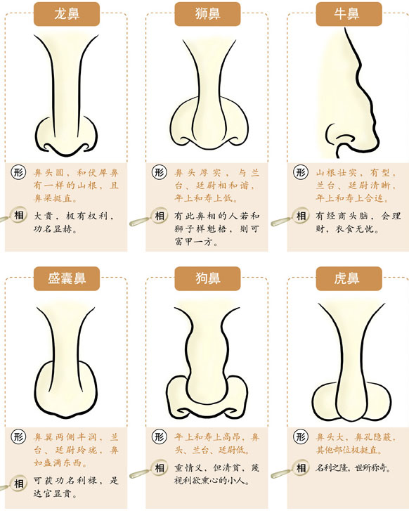 从面相看个人<strong>财运</strong> 如何从面相看什么样的人有<strong>财运</strong>