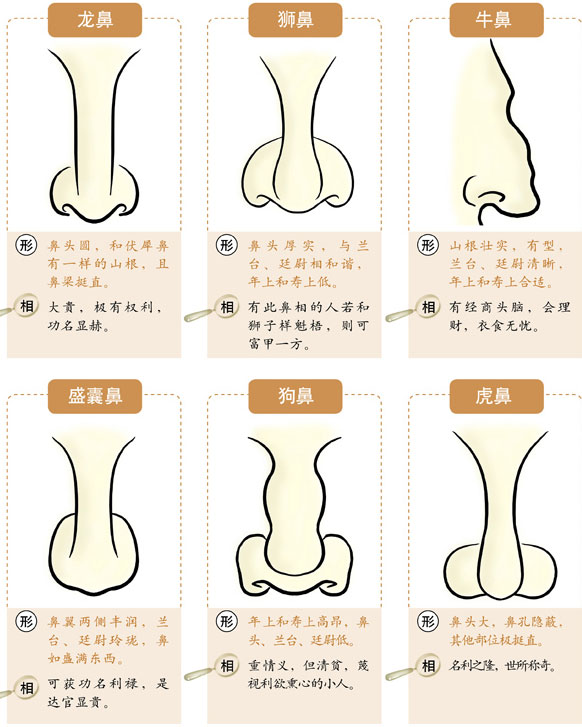 面相雀斑看命运_如何看面相_郑博士看豪门贵妇面相