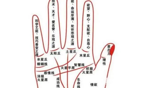 5种富贵<strong>手相</strong>