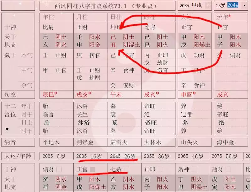 巳时出生的女孩婚姻:1994年农历10月26日巳时出生的女孩婚姻如何