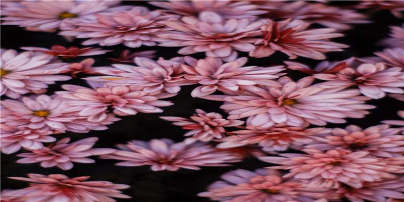 <strong>八字</strong>排大运怎么看好坏 (<strong>八字</strong>大运是怎么排的)