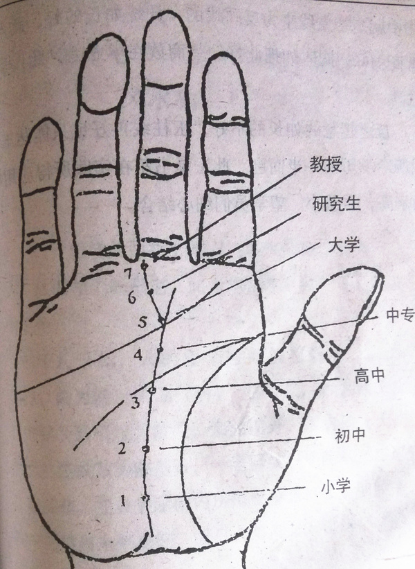 手相图解_手相算命图解男 图解_手相图解大全手掌纹路图解