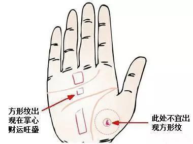 <strong>手相</strong>图解男女大全 <strong>手相</strong>算命解说