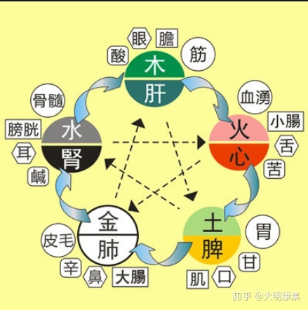 曰水火木金土此五行还是五行_金木水火土_日水火 木金土