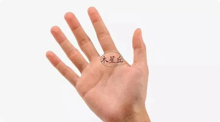 注定大富大贵的<strong>手相</strong>特征 <strong>手相</strong>上有遇贵纹