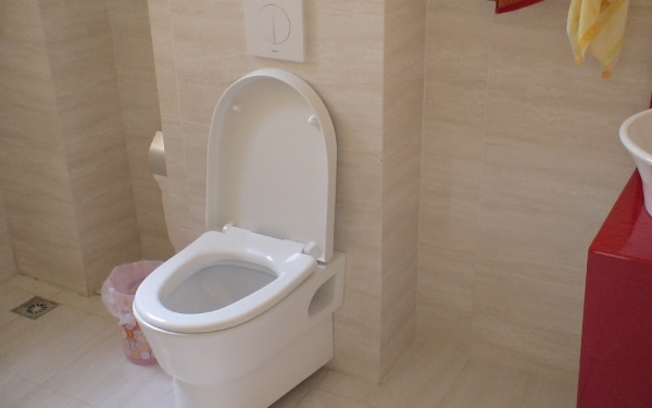 厕所吉凶位置如何判断 厕所宜设在正东和东南方