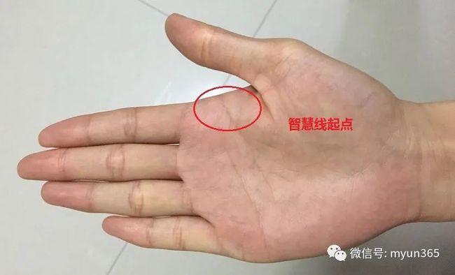 如何从<strong>手相</strong>算命财运 <strong>手相</strong>算命