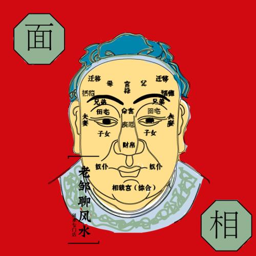 如何从<strong>手相</strong>算命财运 <strong>手相</strong>算命