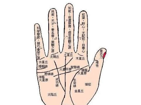嫁有钱人女生<strong>手相</strong> 会嫁到国外的<strong>手相</strong>
