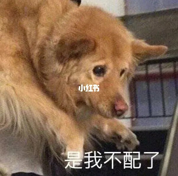 忌破五_破五之说_春节破五