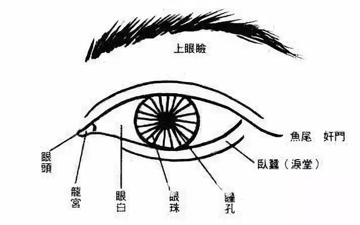 眼睛黑白分明是左脑思维吗_眼睛黑白分明_动漫女生眼睛黑白