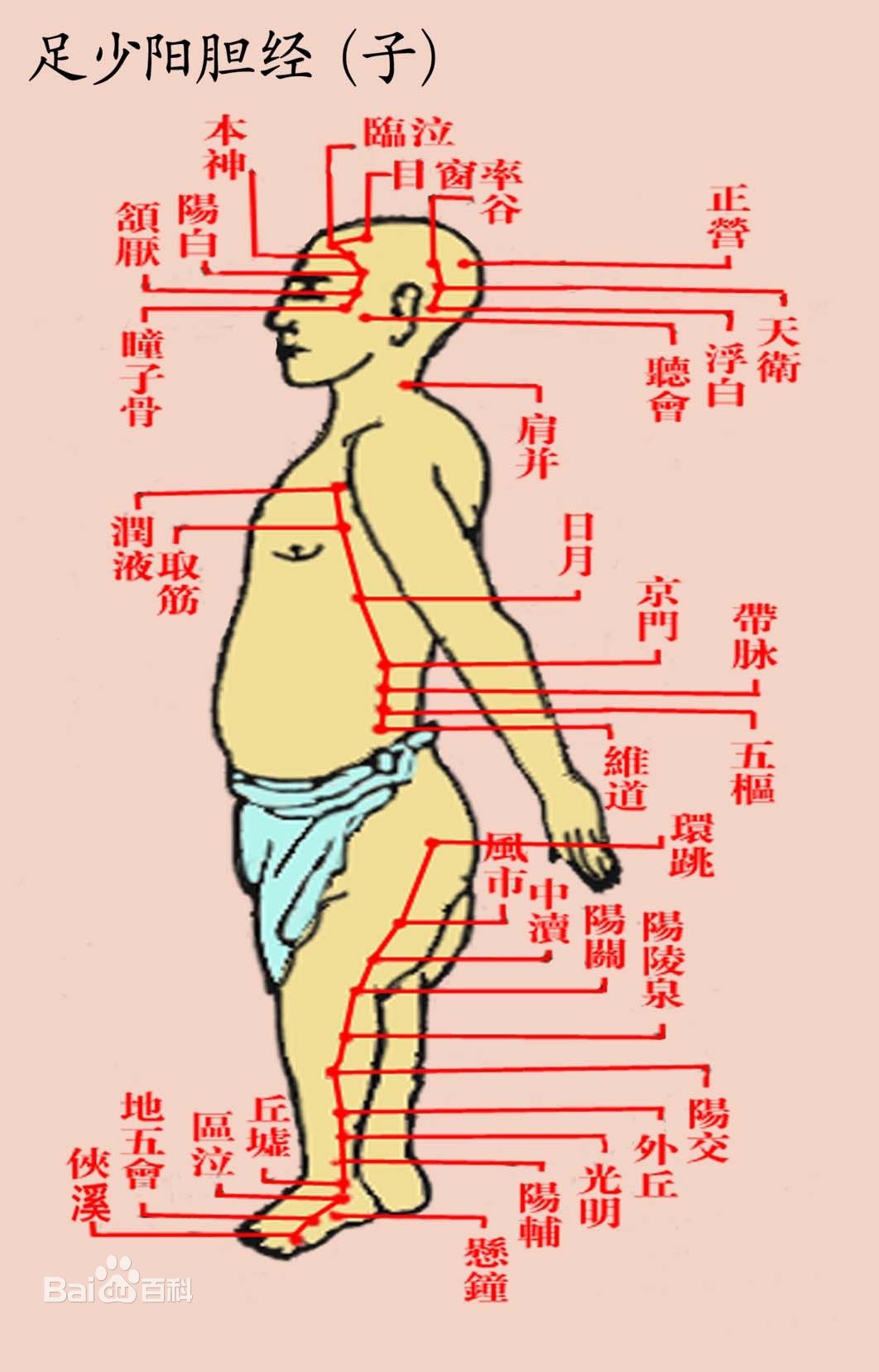 九阴真经少阳神功虬枝_少阳_仙剑奇侠传3外传问情篇 少阳三焦