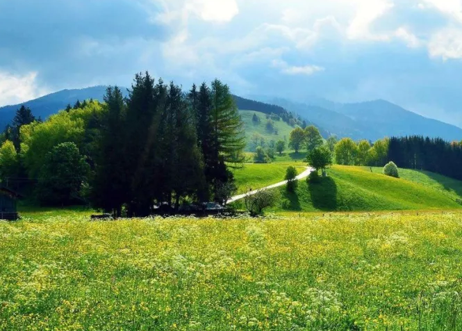 生辰<strong>八字算命</strong>_有酉金七杀也可做到校长以上！全因八字有贵人！