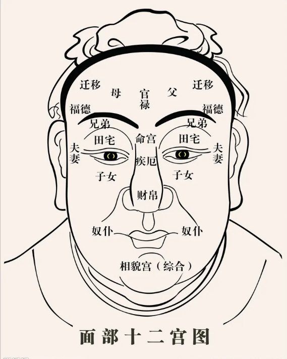 面相十二宫_面相奴仆宫有痣_奴仆宫好的面相