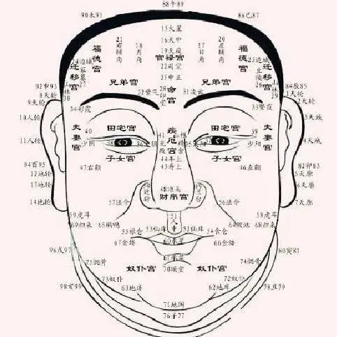 面相十二宫_奴仆宫好的面相_面相奴仆宫有痣