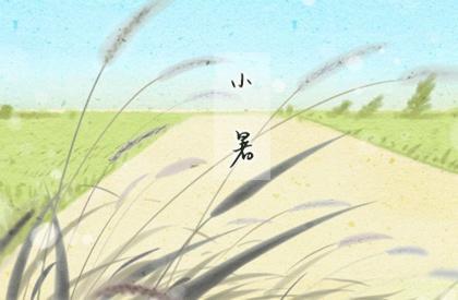 <strong>手相</strong>掌纹图解大全 女人右手<strong>手相</strong>算命