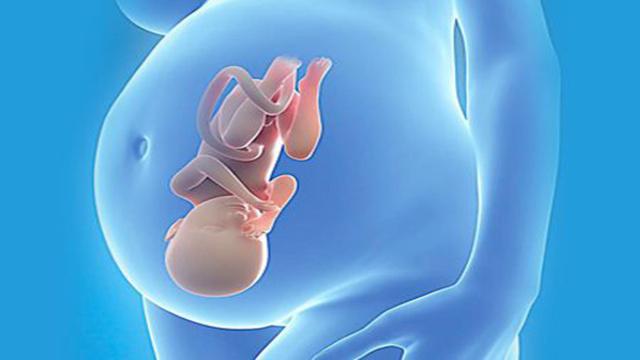 孕晚期怀男孩明显特征_怀儿子最明显的征兆_月经征兆明显会怀孕吗