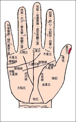 <strong>手相</strong>与生辰八字哪个准 算命看<strong>手相</strong>准吗