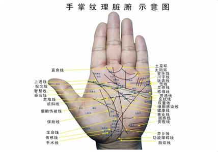 <strong>手相</strong>较乱 断掌<strong>手相</strong>图解