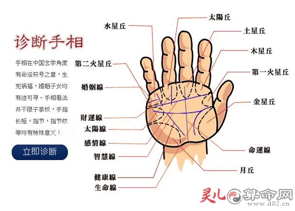 掌纹算命_手相算命图解断掌纹_看掌纹算命图解