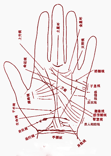 <strong>手相</strong>较乱 断掌<strong>手相</strong>图解