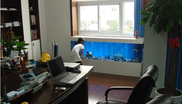 客厅鱼缸的摆放位置_办公室鱼缸摆放位置_办公桌面向西怎样摆放鱼缸
