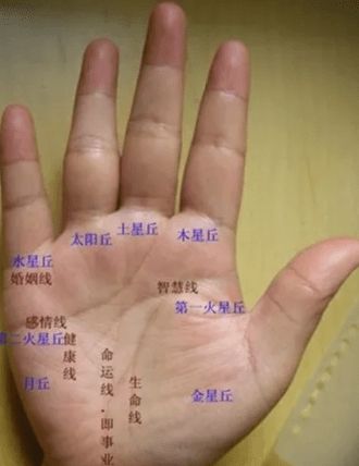 看<strong>手相</strong>左手还是右手  看<strong>手相</strong>是男左女右吗?