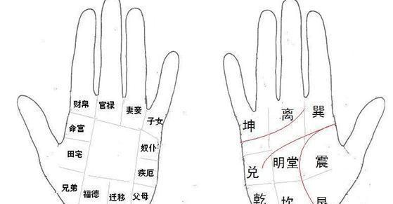 看<strong>手相</strong>左手还是右手  看<strong>手相</strong>是男左女右吗?